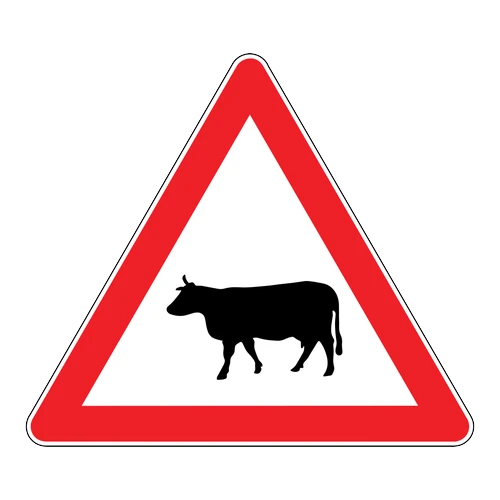 Ehli Hayvanlar Geçebilir anlamı