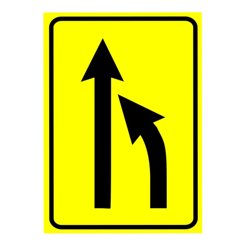 Şerit Düzenleme 2 anlamı