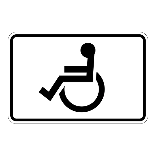 Engelli Sürücü Paneli anlamı